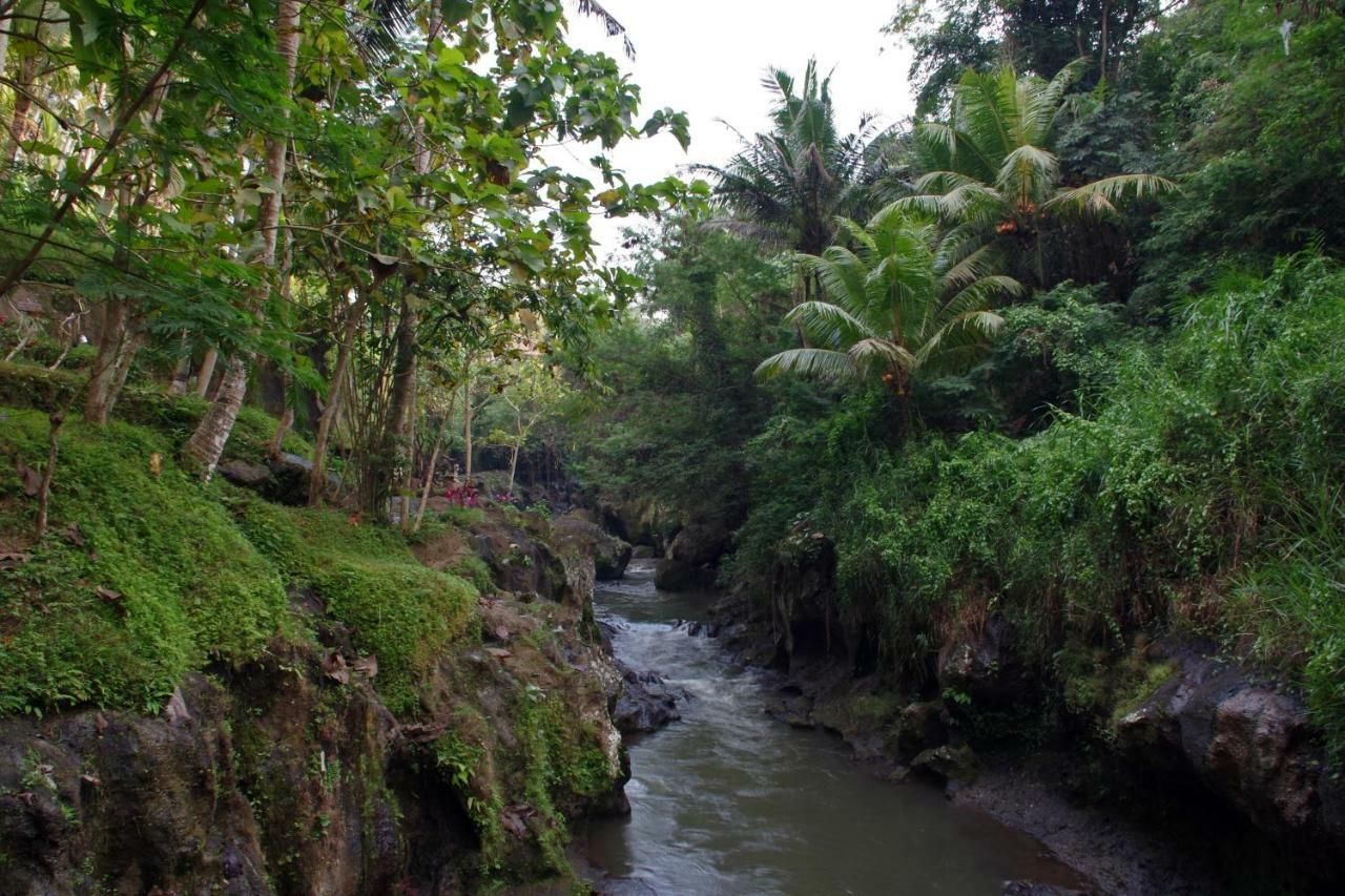 Ubad Retreat Hotell Ubud Exteriör bild